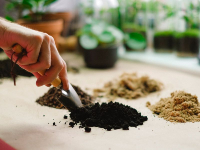 fertilizante ecologico fertilizante ecologico